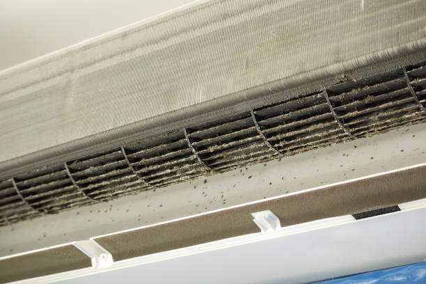 Best Affordable HVAC Duct Cleaning  in Water Mill, NY
